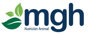 MGH