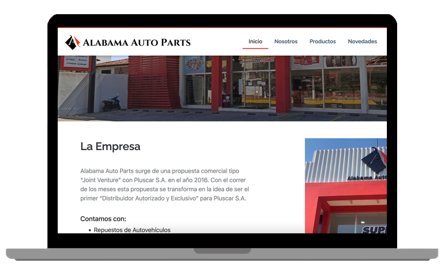 Diseño web en Paraguay - Ideas con Arte